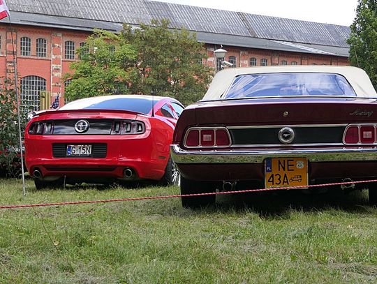 American Cars in the Elbląg's Old Town